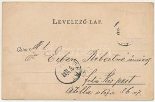 Borszék, Borsec; Remény szálloda, Mélik szálloda / hotels. Art Nouveau (Rb)