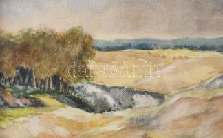 Olvashatatlan jelzéssel: Örvénylő táj. Akvarell, papír. Dekoratív, üvegezett fakeretben, 36×44 cm