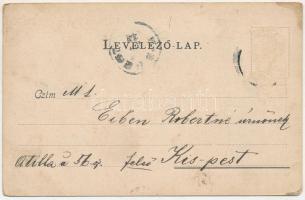 Borszék, Borsec; látkép / general view. Art Nouveau (Rb)