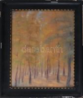 Olvashatatlan (Tóth?) jelzéssel: Az erdő fényei. Pasztell, papír. Dekoratív, üvegezett, sérült fakeretben, 45,5×37 cm