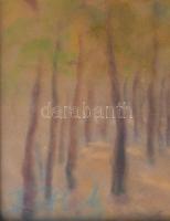 Olvashatatlan (Tóth?) jelzéssel: Az erdő fényei. Pasztell, papír. Dekoratív, üvegezett, sérült faker...