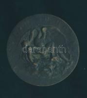 Antonio Abondio bronz emlékérem "Faustina Romana", "Léda és a hattyú" T:4