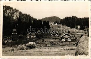 1941 Kolibica, Colibita; látkép / view