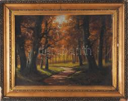 Beregi J jelzéssel, XX. sz eleje: Erdőrészlet. Olaj, vászon. Apró felületi sérülésekkel. Dekoratív, sérült fakeretben, 33×44 cm