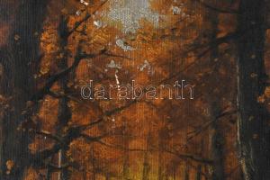 Beregi J jelzéssel, XX. sz eleje: Erdőrészlet. Olaj, vászon. Apró felületi sérülésekkel. Dekoratív, ...