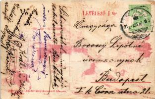 Nagykároly, Carei; Gróf Károlyi kastély. Sámuel Sándor kiadása / castle (Rb)