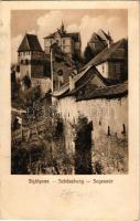 1917 Segesvár, Schässburg, Sighisoara; (Rb)
