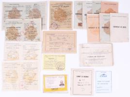 ca 1960-2000 20 db román igazolvány, munkakönyv, születési, halálozási kivonat, stb / ca 1960-2000 20 Romanian ID cards, work books, birth and death certificates, etc.