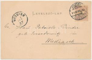 1900 Segesvár, Schässburg, Sighisoara; Gewerbe-Vereinshaus, Café Martini, Bierhalle u. Weinstube / K...