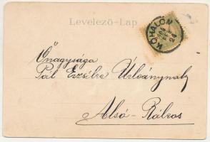 1904 Segesvár, Schässburg, Sighisoara; Petőfi szobor. Vándory kiadása, szecessziós-virágos litho ker...