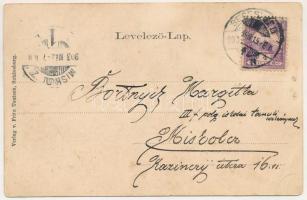 1903 Segesvár, Schässburg, Sighisoara; látkép. Fritz Teutsch kiadása, szecessziós-virágos litho kere...