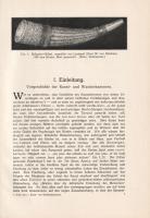 Schlosser, Julius von: 
Die Kunst- und Wunderkammern der Spätrenaissance. Ein Beitrag zur Geschicht...