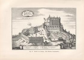 Schlosser, Julius von: 
Die Kunst- und Wunderkammern der Spätrenaissance. Ein Beitrag zur Geschicht...