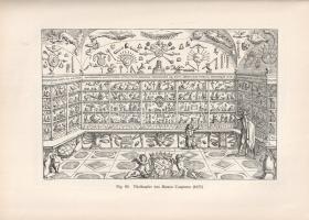 Schlosser, Julius von: 
Die Kunst- und Wunderkammern der Spätrenaissance. Ein Beitrag zur Geschicht...