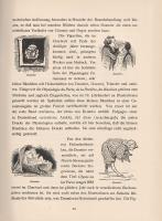 Voll, Karl: 
Frankreichs klassische Zeichner im XIX. Jahrhundert. Mit 64 Textillustrationen und 64 ...