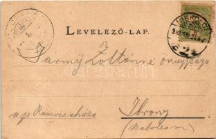 1902 Miskolc, Hámori tó. Ferenczi Károly kiadása (EB)