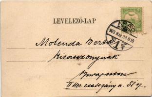 1903 Arad, Salacz park. Bloch H. kiadása / park