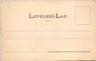 1899 Dobsina, Dobschau; Dobsinai jégbarlang, belső. Oltár. Wlaszlovits Gusztáv kiadása / Eishöhle Do...