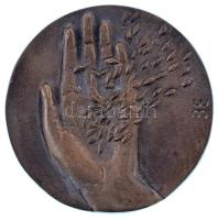 1984. "Mezőgéptröszt" kétoldalas bronz emlékérem, hátoldalon "Mezőgép Hírlap Tudósítói nívódíj 1984." gravírozással Szign.:BE (78mm) T:AU