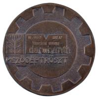 1984. "Mezőgéptröszt" kétoldalas bronz emlékérem, hátoldalon "Mezőgép Hírlap Tudósító...