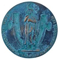 1970 k. Lenin Kohászati Művek "Fiatal szakemberünknek munkába állása alkalmából - LKM" egy...