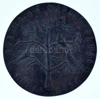 Varga Miklós (1928-2018) DN "A Borsod A-Z Megyei Tanács kórus díja" egyoldalas öntött bronz plakett (90mm) T:XF patina