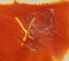 Tófej hasábváza, minimális kopással, m: 31 cm