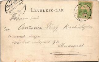 1899 Budakeszi, Kossuth-telep. Hatschek Emil kiadása (EB)