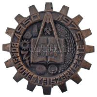 1975. Műszaki és Természettudományi Egyesületek Szövetsége "MTESZ Borsod megyei szervezete 1950-1975" egyoldalas bronz emlékplakett, hátoldalon ragasztóréteg (~103mm) T:AU,XF
