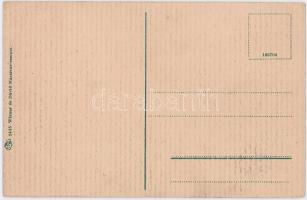 Aknaszlatina, Slatinské Doly, Szolotvino, Solotvyno (Máramaros); Lajos sósfürdő. Wizner és Dávid kia...