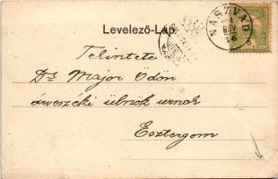 1904 Naszvad, Nasvad, Nesvady; Petőfi tér. Conlegner J. és fia kiadása / square (b)