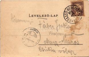 1901 Segesvár, Schässburg, Sighisoara; Hegyi templom, gimnázium, Óratorony, Internátus, plébánia tem...