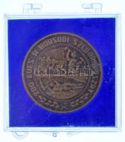 1986. "200 éves a borsodi szénbányászat / 1786-1986" kétoldalas bronz emlékérem (42,5mm) s...