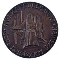 1960 k. "Munkavédelemért - Ózdi Kohászati Művek" egyoldalas öntött bronz emlékérem (67mm) T:AU