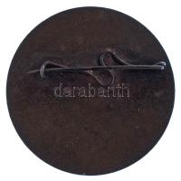 1950 k. "Kiváló Tanuló - DISZ (Demokratikus Ifjúsági Szövetség)" zománcozott bronz kitünte...