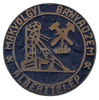 1960-1970 k. "Mákvölgyi Bányaüzem - Alberttelep" egyoldalas festett bronz emlékérem (97mm) T:XF