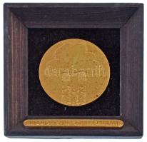 DN "Borsod-Abaúj-Zemplén Megye - A Közösségért" keretezett bronz plakett (60mm) T:AU