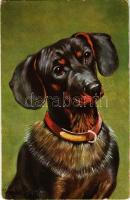 1939 Tacskó / Dachshund dog. Peluba 235. s: Danadini jr. (?) (fa)