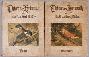 Adolf Müller - Karl Müller: Thiere der Heimath. Bände I-II. Deutschlands Säugethiere und Vögel. Geschildert von - und - -. Mit Original- Illustrationen in Farbendruck nach Zeichnungen und Aquarellen von C. F. Deiker und Adolf Müller. Estes Buch: A. Allgemeiner Theil. B. Wesen und Wandel der Säugetiere.; Zweites Buch: Wesen und Wandel der Vögel.; Kassel, 1897., Theodor Fischer, 8+291 p.+20 (színes képtáblák) t. +2 (az egyik fekete-fehér képtábla) t.; 8+365 p.+25 (színes képtáblák) t. Német nyelven. Dritte Auflage. Kiadói illusztrált egészvászon-kötés, kopott, foltos borítókkal, a gerinceken kis sérülésekkel, az I. kötet eleje és első néhány lapja foltos.