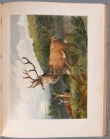 Adolf Müller - Karl Müller: Thiere der Heimath. Bände I-II. Deutschlands Säugethiere und Vögel. Gesc...