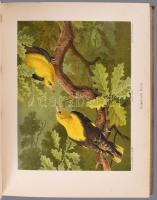 Adolf Müller - Karl Müller: Thiere der Heimath. Bände I-II. Deutschlands Säugethiere und Vögel. Gesc...