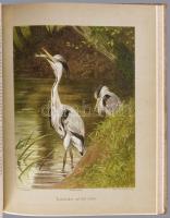 Adolf Müller - Karl Müller: Thiere der Heimath. Bände I-II. Deutschlands Säugethiere und Vögel. Gesc...