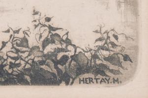 Hertay Mária (1932-2018): Budapesti panoráma. Rézkarc, papír, jelzett a karcon. Üvegezett fakeretben...