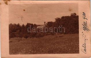1930 Calinesti, Kalinestie (Bukovina, Bucovina, Bukowina); Kalinestie Marin / castle of Gusztáv Marin, view. photo (fl)