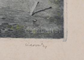 Vidovszky Béla (1883-1973): Dömösi táj (Dunakanyar). Színezett rézkarc, papír, jelzett, kissé foltos...