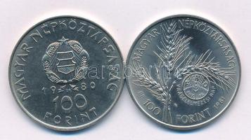 1980. 100Ft Ni "Szovjet-magyar közös űrrepülés" + 1981. 100Ft Ni "FAO I. - Világélelmezési nap" T:AU Adamo EM61, EM66