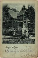 1902 Tusnádfürdő, Baile Tusnad; Elsa villa. Adler A. / villa, spa (EK)
