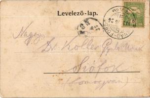 1902 Tusnádfürdő, Baile Tusnad; Elsa villa. Adler A. / villa, spa (EK)