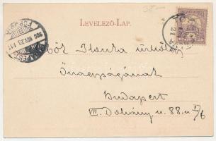 1900 Topánfalva, Topersdorf, Campeni; látkép. Szabó fivérek fényképészeti műintézete felvétele. Csik...