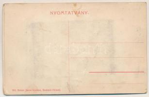 Szatmárnémeti, Szatmár, Satu Mare; Református tanítóképző, Felsőbb leányiskola. Reitzer János kiadás...